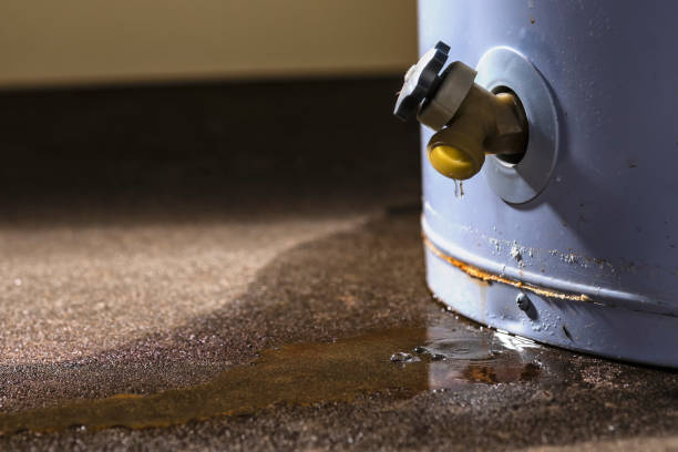 Best Professional water damage repair  in North Kingsville, OH