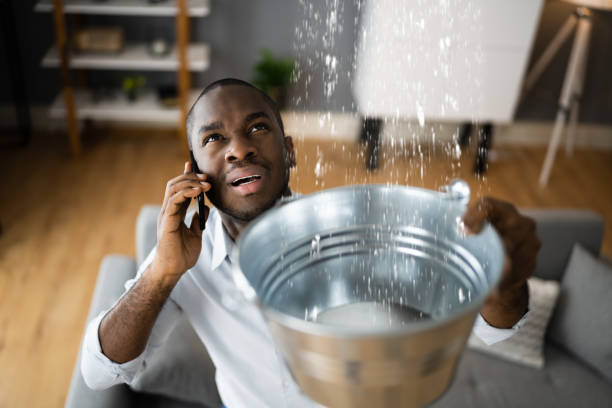 Best 24-hour water damage restoration  in North Kingsville, OH