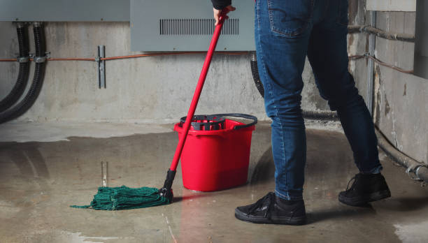 Best Water damage contractors near me  in North Kingsville, OH