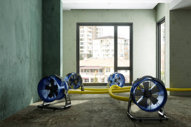 Best Ceiling water damage repair  in North Kingsville, OH